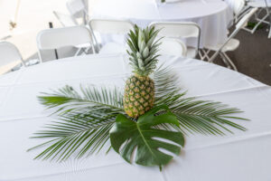 A pineapple stands proudly atop a white tablecloth, surrounded by lush green tropical leaves, creating a refreshing island vibe in Dawsonville. In the background, white folding chairs are meticulously arranged around the table, courtesy of T3 Event Rentals. This sophisticated setup showcases T3s exceptional service in event arrangements throughout Dawsonville. All featured items are rentals from T3 Event Rentals—nothing is for sale.