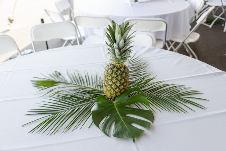 A pineapple stands proudly atop a white tablecloth, surrounded by lush green tropical leaves, creating a refreshing island vibe in Dawsonville. In the background, white folding chairs are meticulously arranged around the table, courtesy of T3 Event Rentals. This sophisticated setup showcases T3s exceptional service in event arrangements throughout Dawsonville. All featured items are rentals from T3 Event Rentals—nothing is for sale.